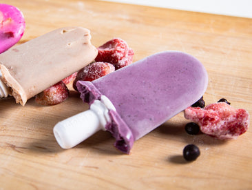 Blueberry Yogurt Popsicles