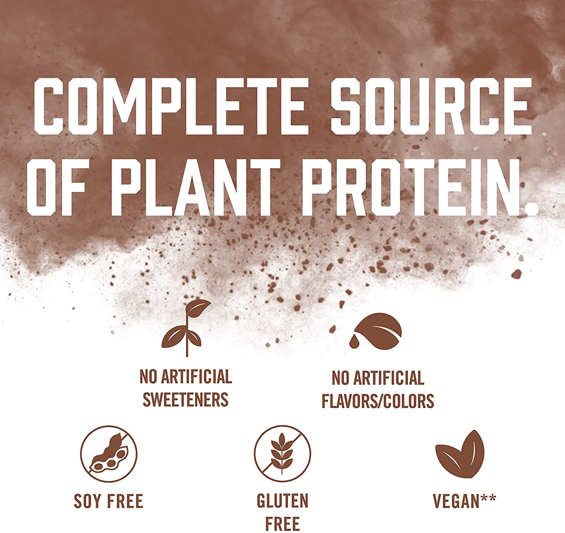 PLANT-BASED PROTEIN / Chocolate - 14 Servings