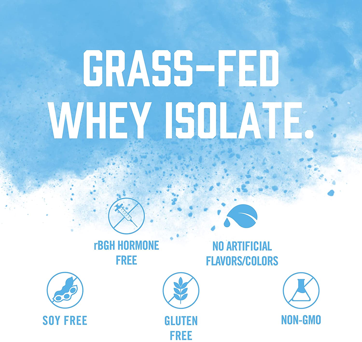 WHEY PROTEIN ISOLATE / Vanilla Milkshake - 24 Servings